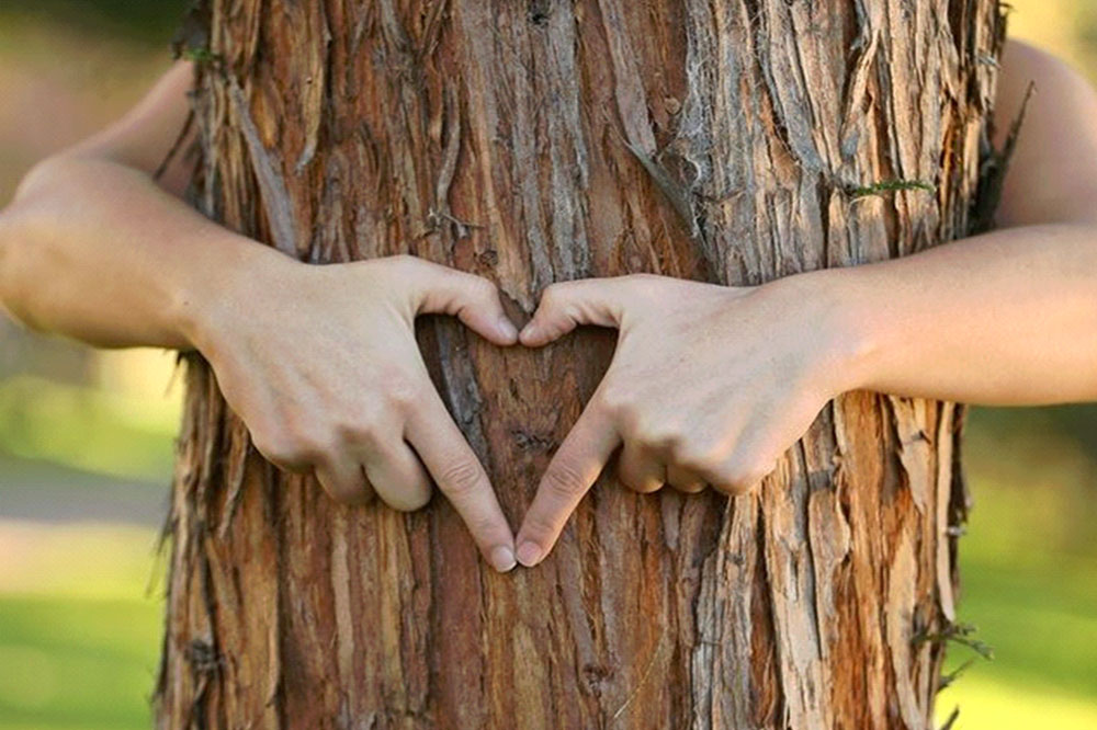 Ręce obejmujące brązowy pień drzewa. Dłonie ułożone w kształce serca.