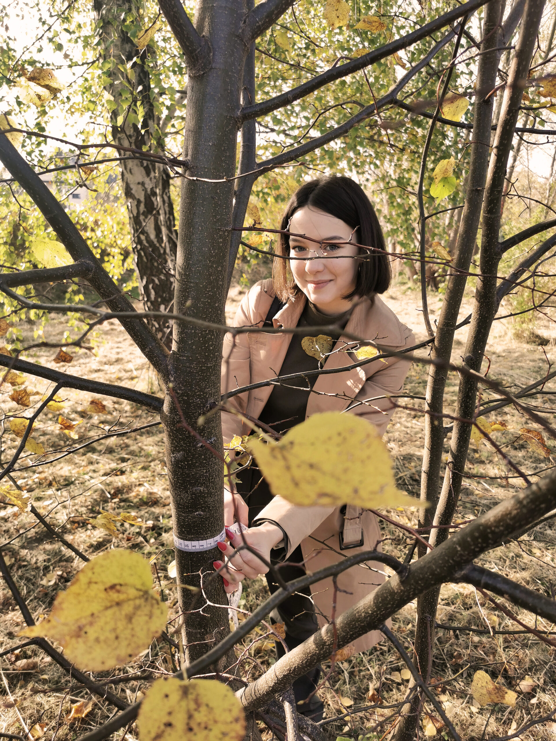 Prace nad koncepcją parków kieszonkowych. Młoda dziewczyna mierzy obwód pnia drzewa.